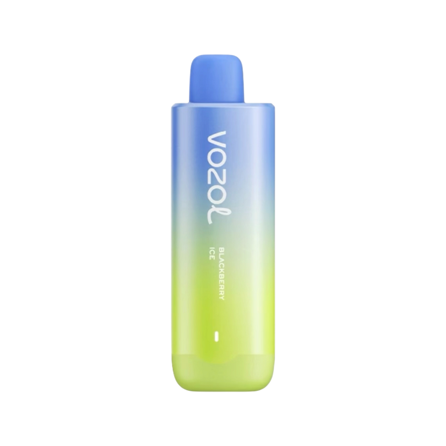 Vozol Star 8K disposable vape, Blackberry Ice flavour — Vapor Space UAE